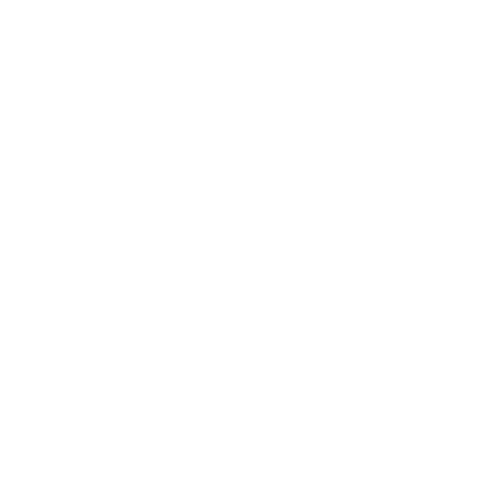 Geigenbauwerkstatt Andernach